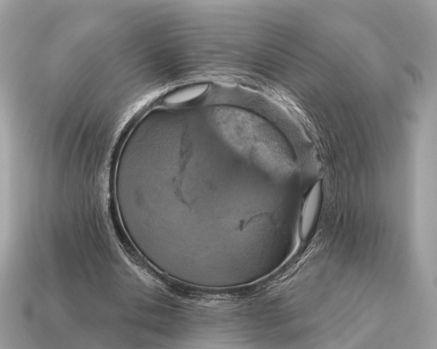 X0000115130438200911101650