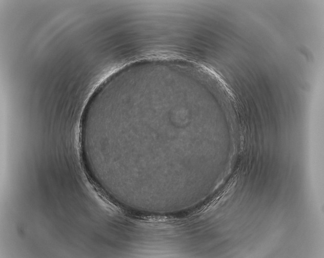 X0000115130439200911101650