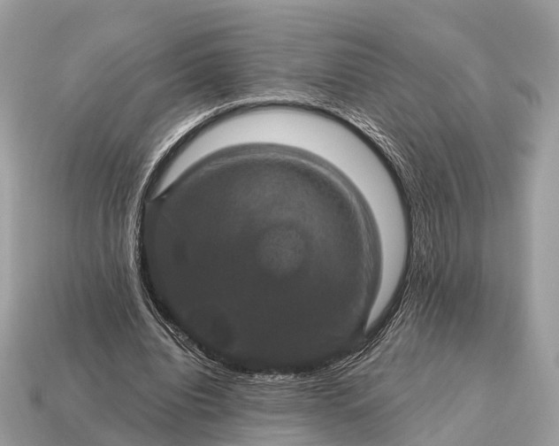 X0000115130440200911101650