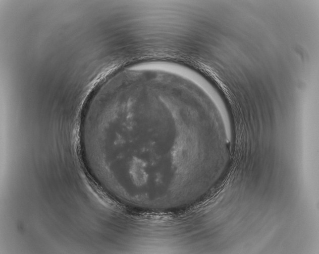 X0000115130443200911101650