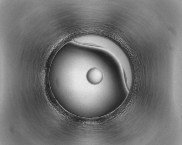 X0000115130444200911101650