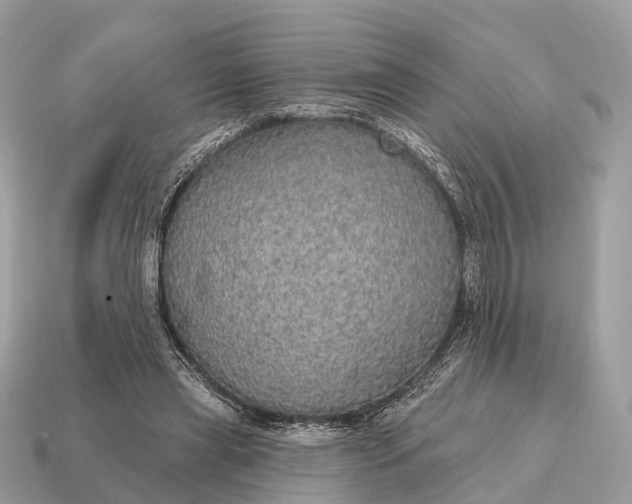 X0000115130445200911101650