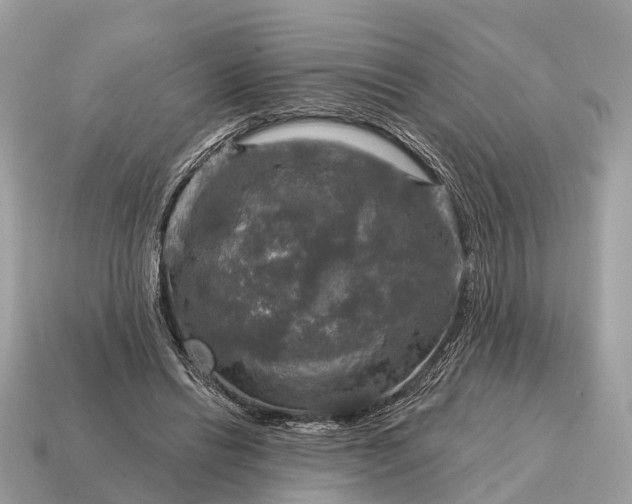 X0000115130446200911101650