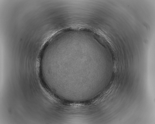 X0000115130448200911101650