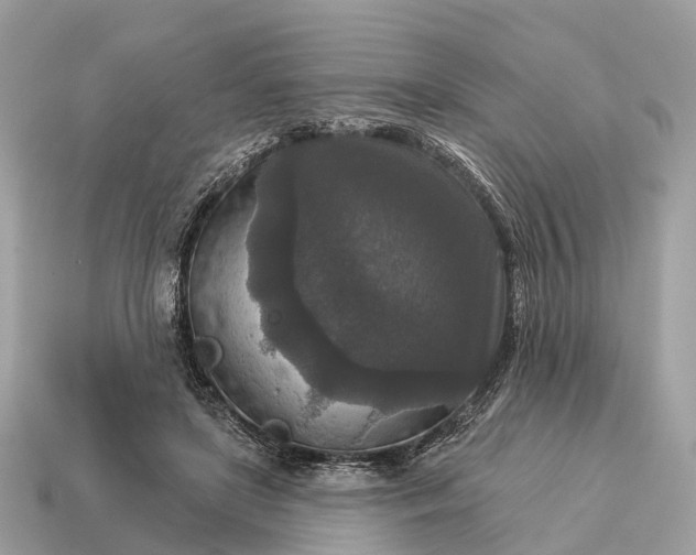 X0000115130451200911101650