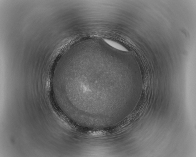X0000115130452200911101650