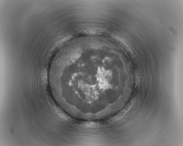 X0000115130453200911101650
