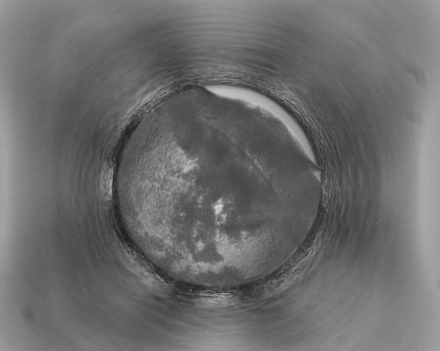 X0000115130454200911101650