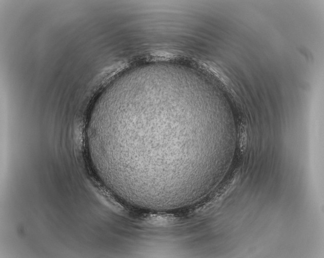 X0000115130455200911101650
