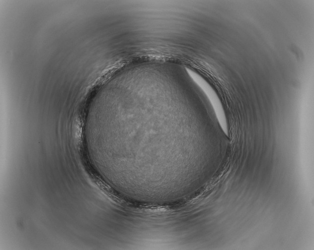 X0000115130456200911101650