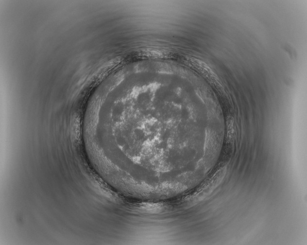 X0000115130457200911101650