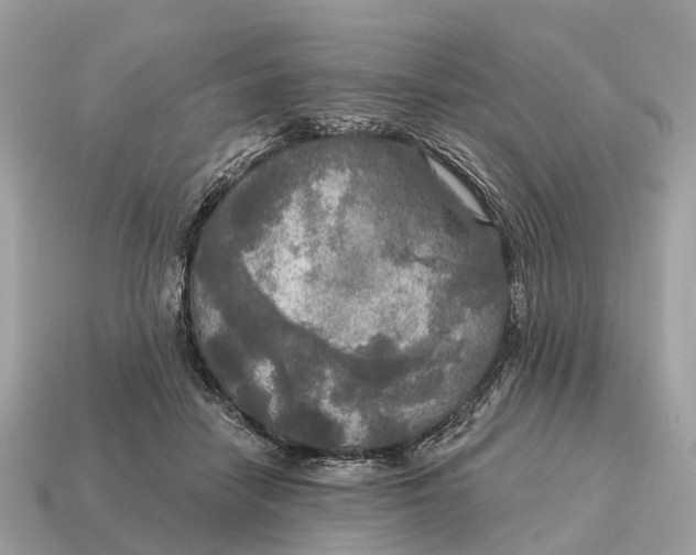X0000115130458200911101650