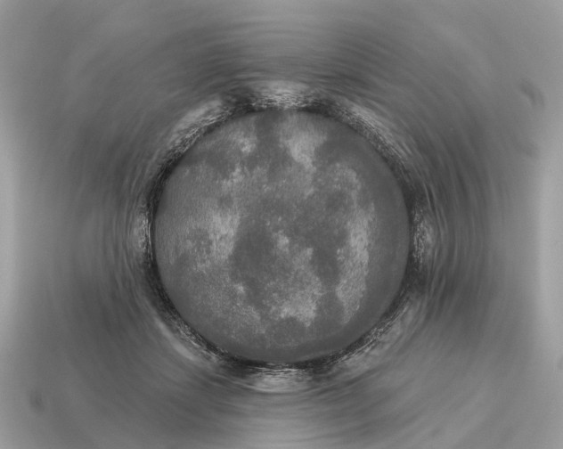 X0000115130459200911101650