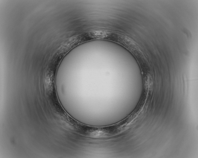 X0000115130460200911101650