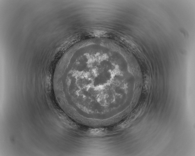 X0000115130461200911101650
