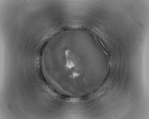X0000115130462200911101650