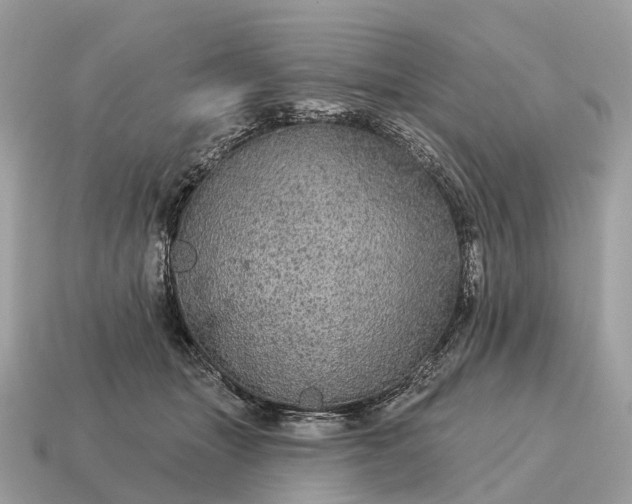 X0000115130463200911101650