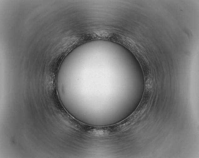 X0000115130464200911101650