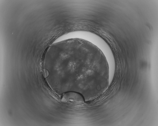 X0000115130465200911101650