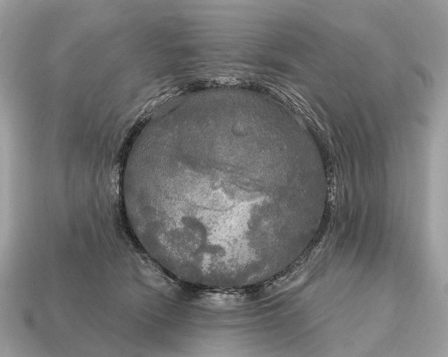X0000115130466200911101650