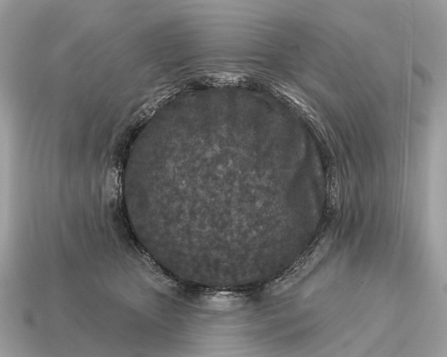 X0000115130467200911101650