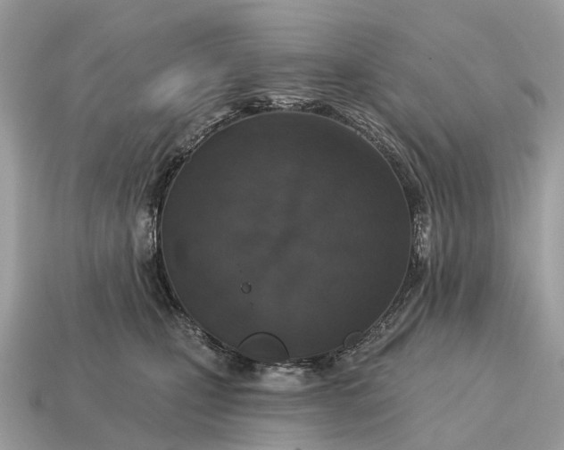 X0000115130471200911101650