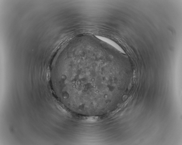 X0000115130474200911101650