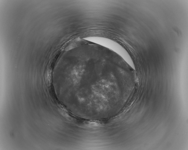 X0000115130475200911101650