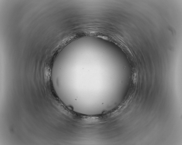 X0000115130476200911101651