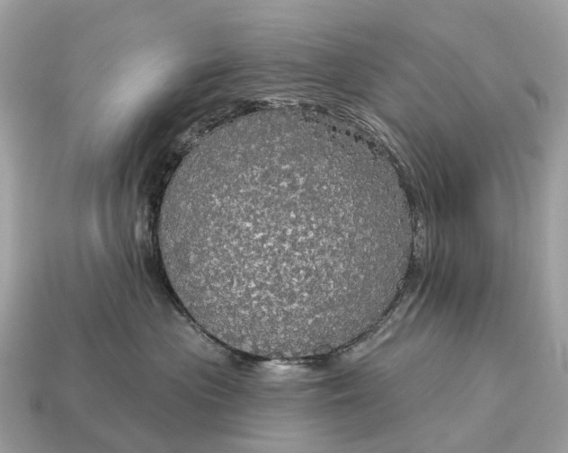 X0000115130477200911101651