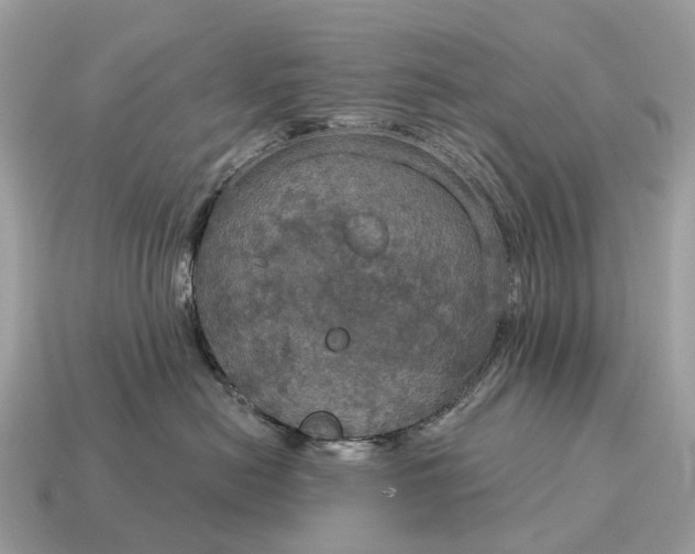 X0000115130478200911101651