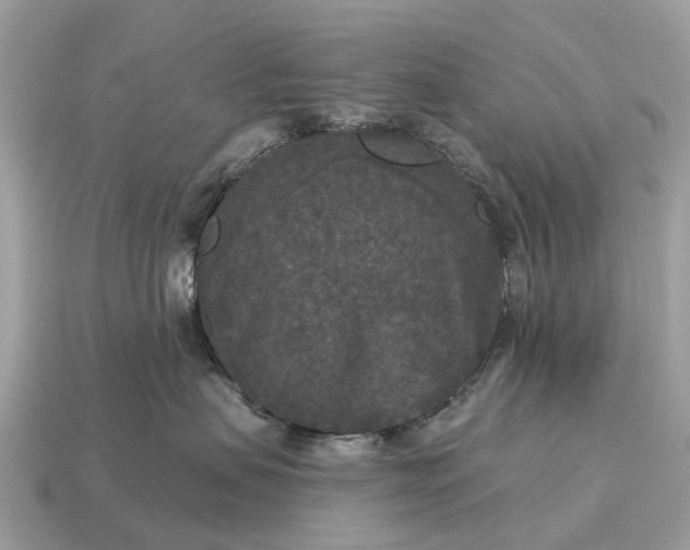 X0000115130479200911101651