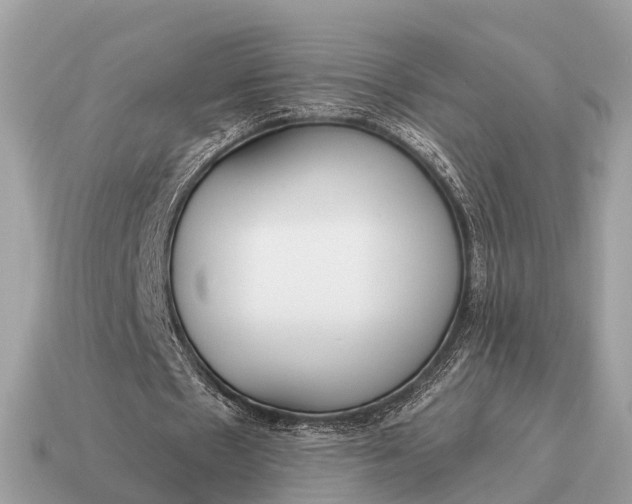 X0000115130481200911101650