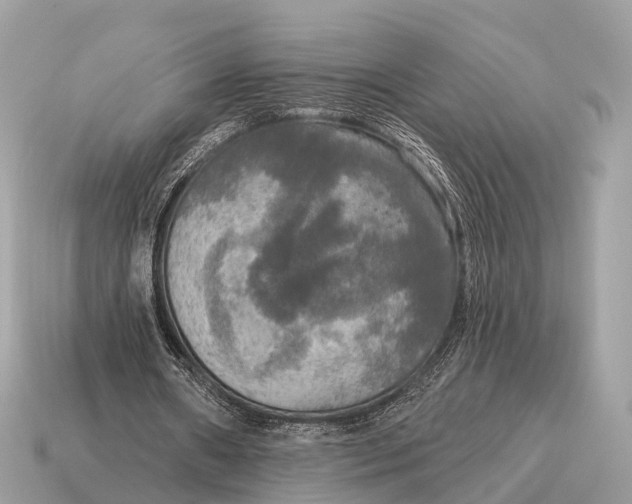 X0000115130482200911101650