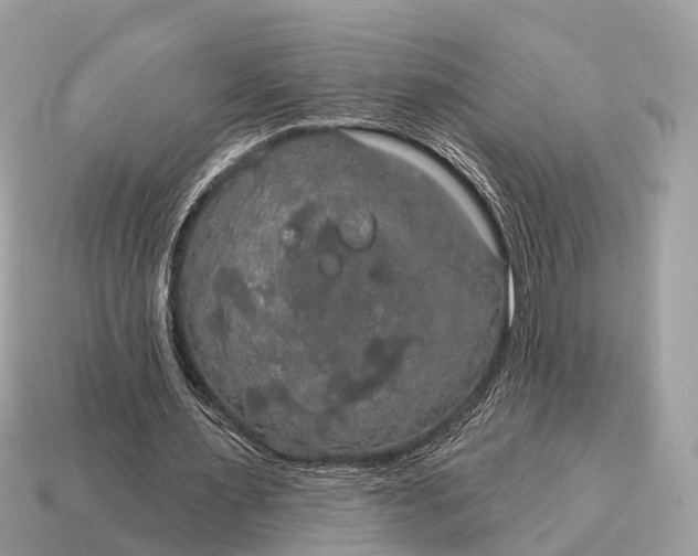 X0000115130483200911101650