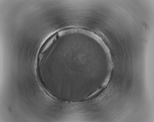 X0000115130484200911101650