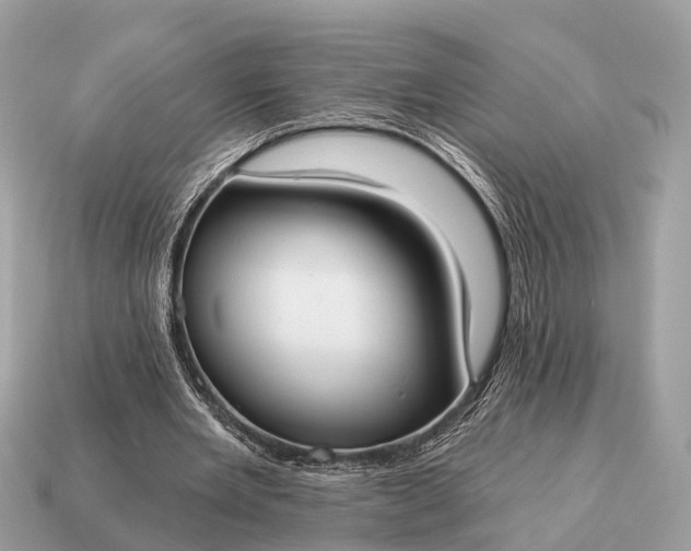 X0000115130485200911101650