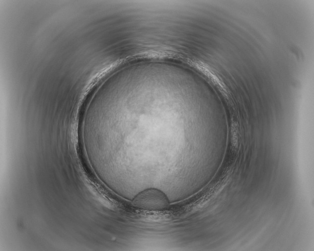 X0000115130486200911101650