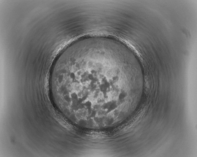 X0000115130487200911101650