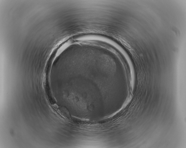 X0000115130488200911101650