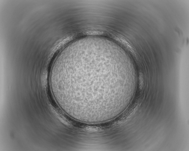 X0000115130490200911101650