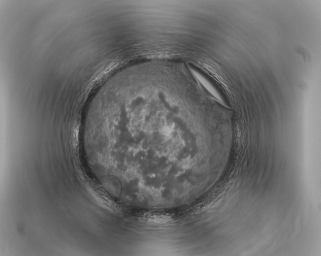 X0000115130491200911101650