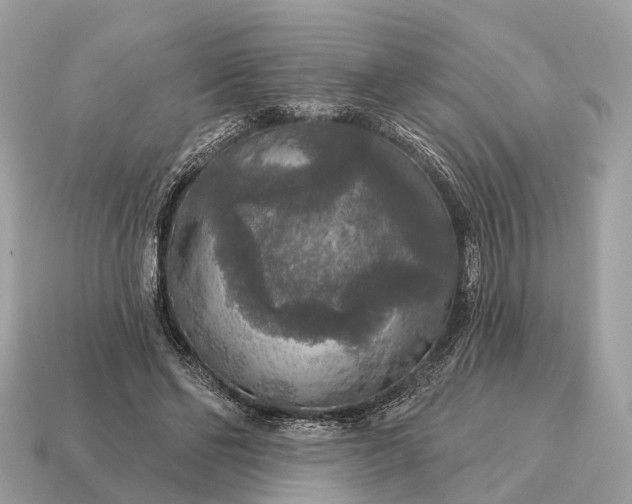 X0000115130494200911101650