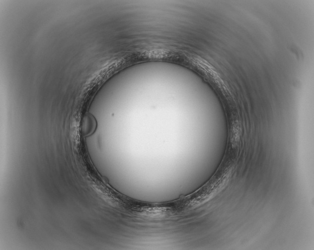 X0000115130497200911101650