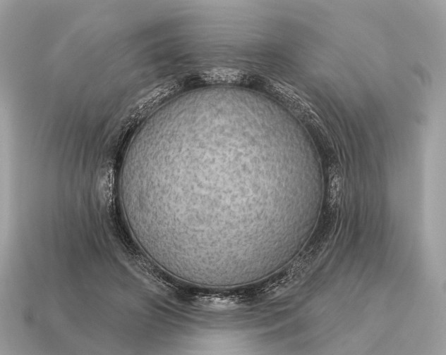 X0000115130498200911101650