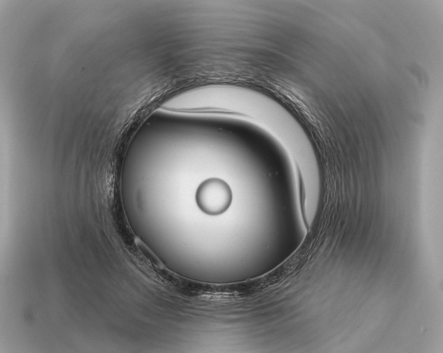 X0000115130499200911101650