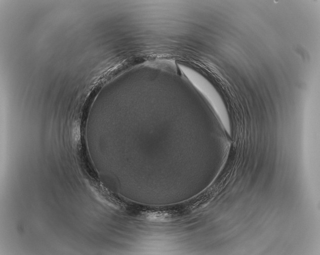 X0000115130500200911101650