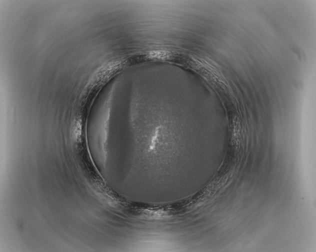 X0000115130502200911101650