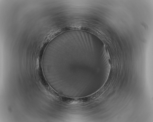 X0000115130504200911101650