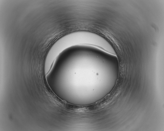 X0000115130505200911101650